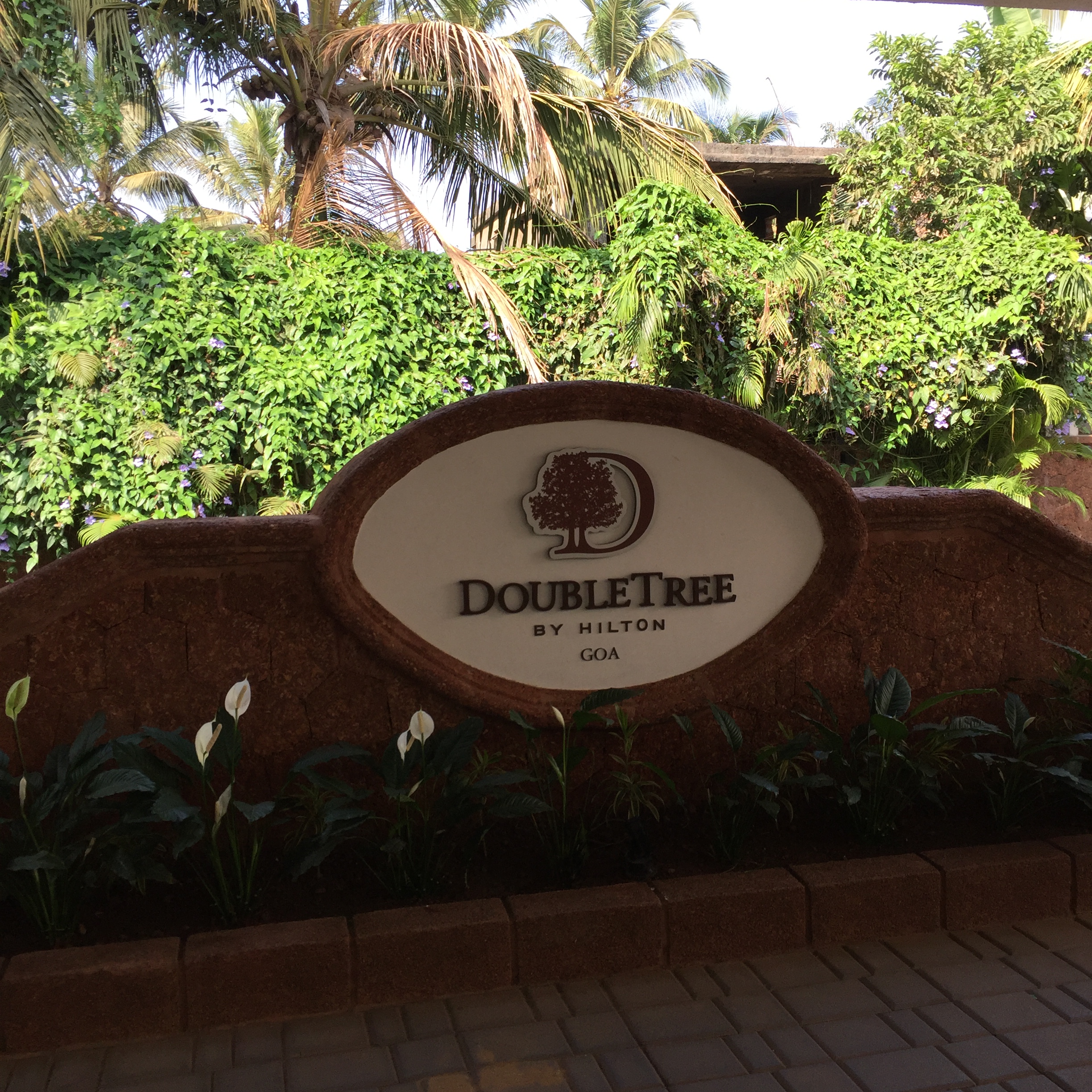 DoubleTree,Hilton,Goa,India,anjuna,baja