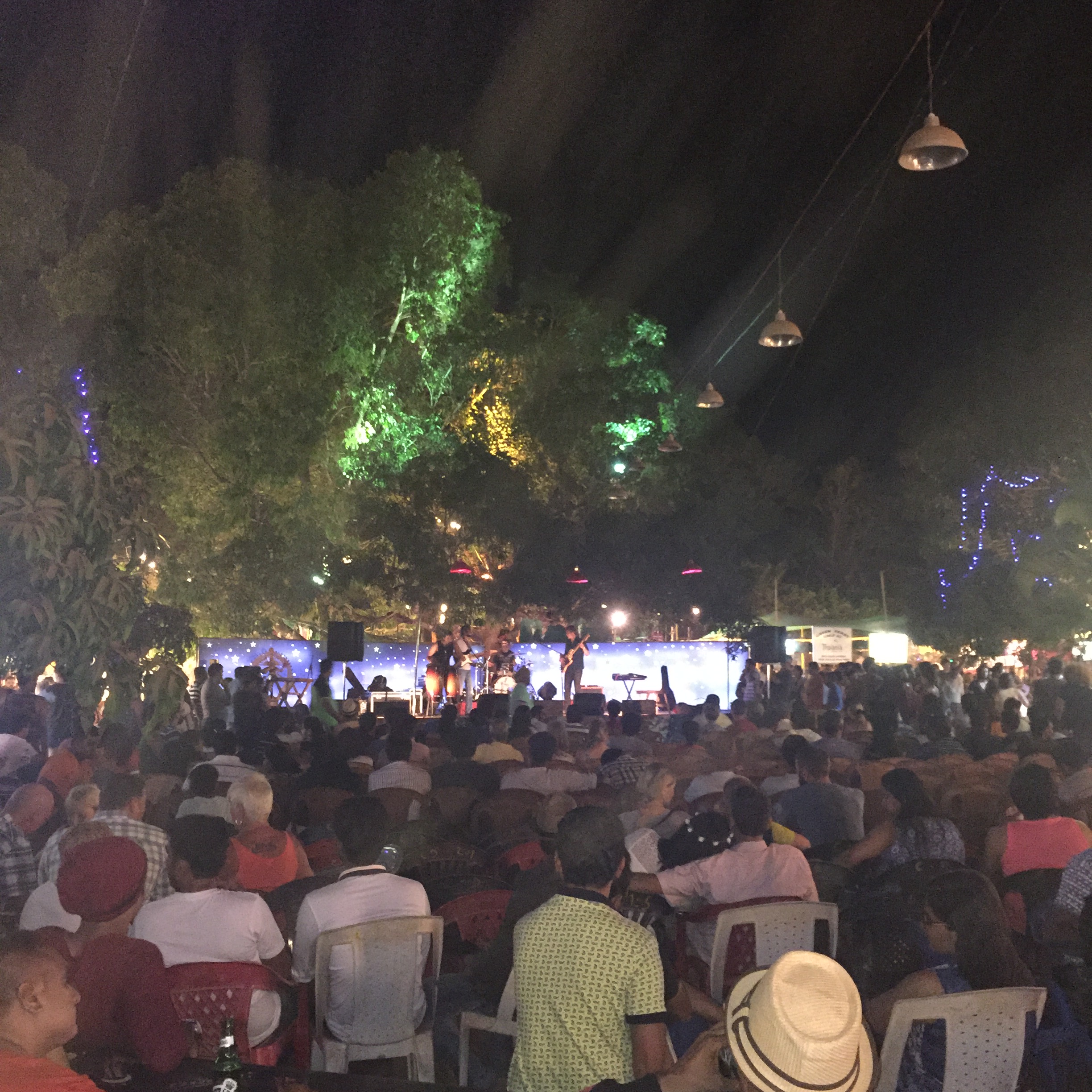 anjuna market,goa,culture,food