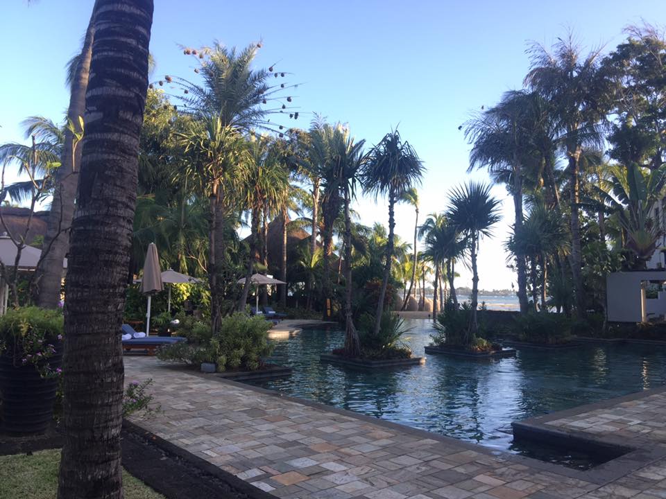 18767565_10158642778400461_6255316756201507191_n