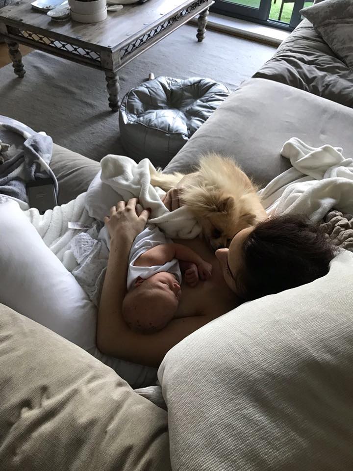 33303746_10160270301520461_3485453406238146560_n